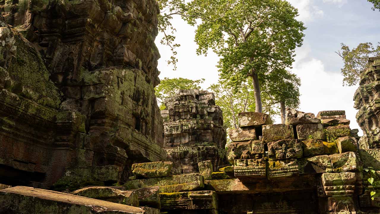 Ta Prohm Temple Siem Reap Cambodia